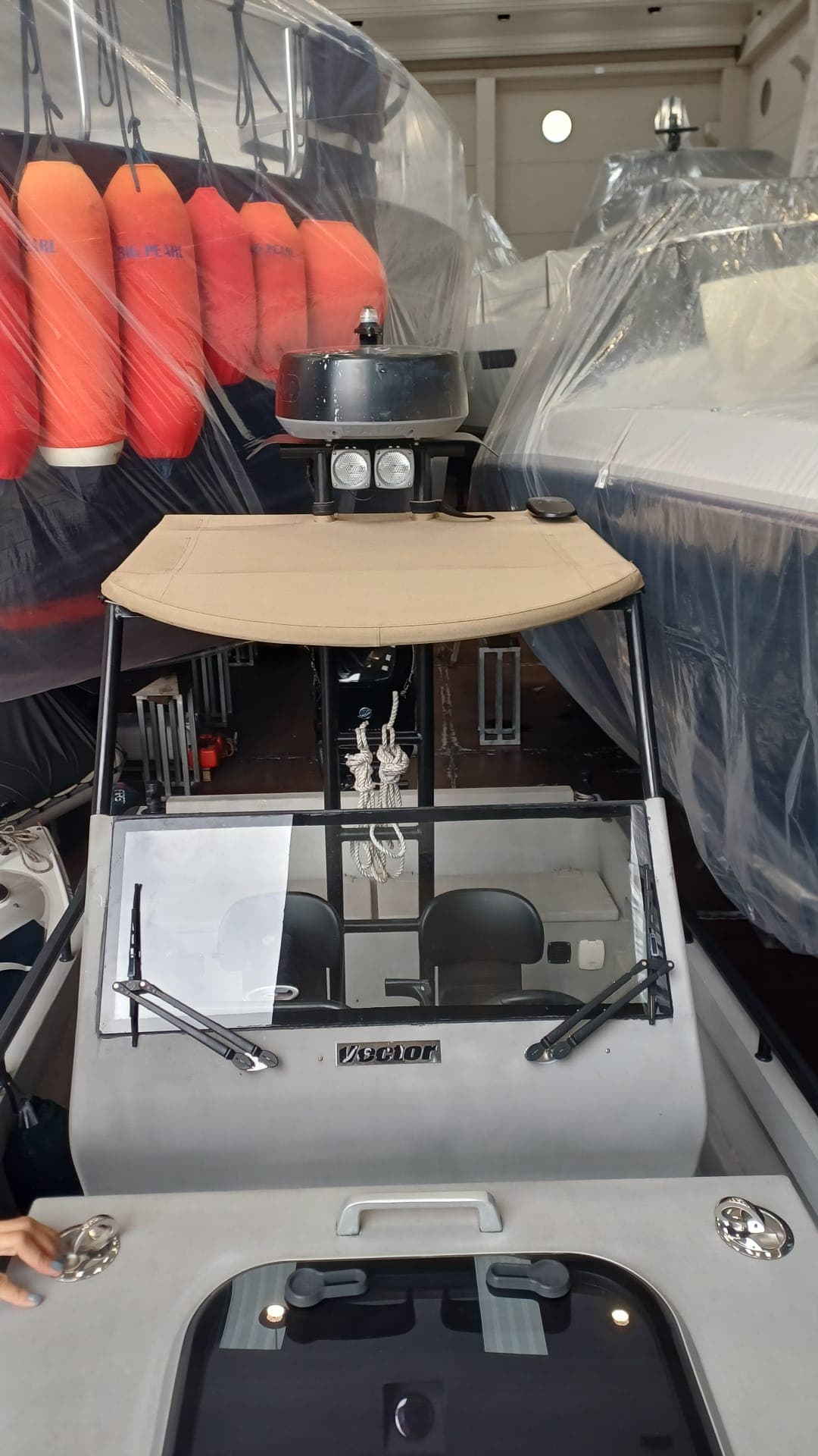 Bimini beige su tender Vector in capannone